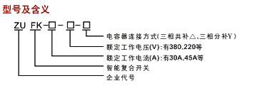 ZUFK系列智能復(fù)合開關(guān)型號說明 ZUFK系列智能復(fù)合開關(guān)型號說明