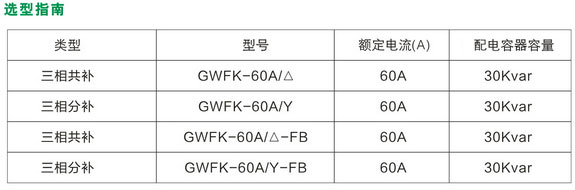 GWFK-60A三相智能復(fù)合開關(guān)型號(hào)說(shuō)明 GWFK-60A三相智能復(fù)合開關(guān)型號(hào)說(shuō)明